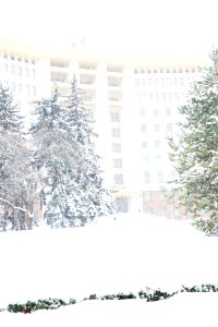 28.01.2021 Iarna în scuarul Parlamentului Republicii Moldova (50884063036)