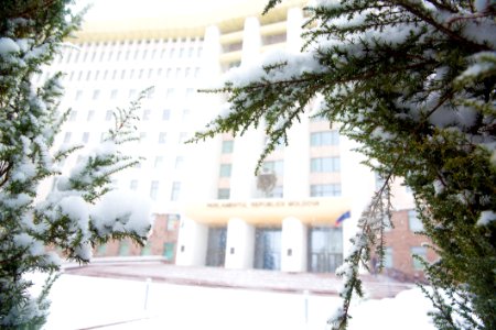 28.01.2021 Iarna în scuarul Parlamentului Republicii Moldova (50884165882)