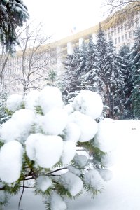 28.01.2021 Iarna în scuarul Parlamentului Republicii Moldova (50884166472)