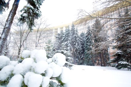 28.01.2021 Iarna în scuarul Parlamentului Republicii Moldova (50884166592)