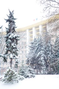 28.01.2021 Iarna în scuarul Parlamentului Republicii Moldova (50884166847)