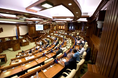 30.07.2019 Ședința plenară (48413154807)