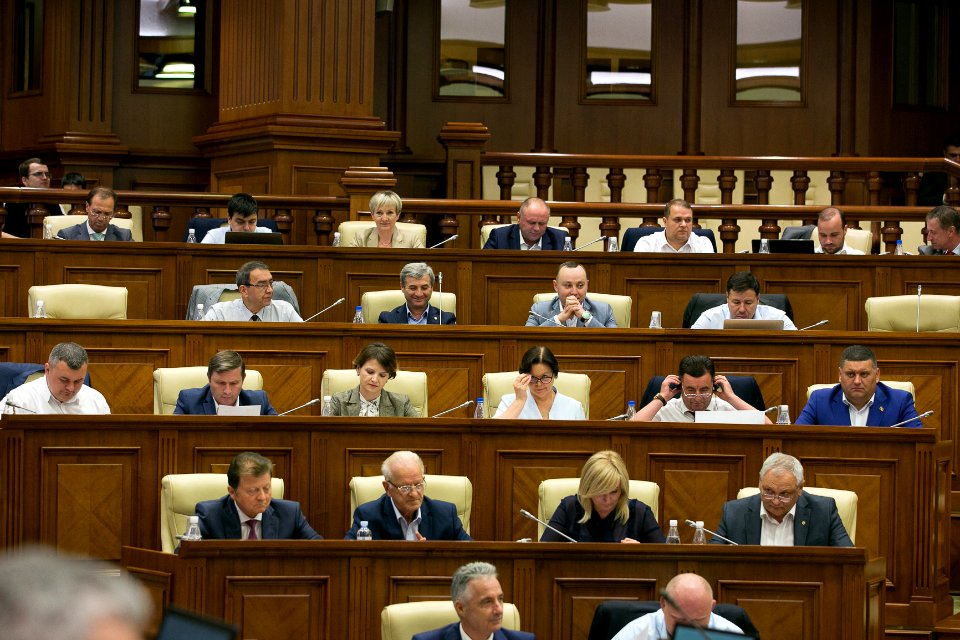 30.07.2019 Ședința plenară (48413156922)
