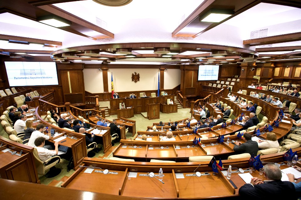 30.07.2019 Ședința plenară (48413159267)