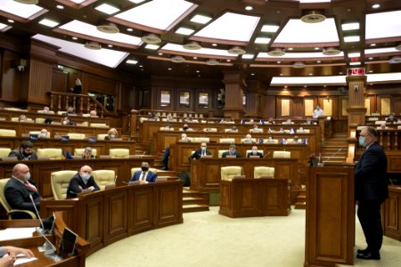 31.03.2021 Ședința plenară (51000972939)