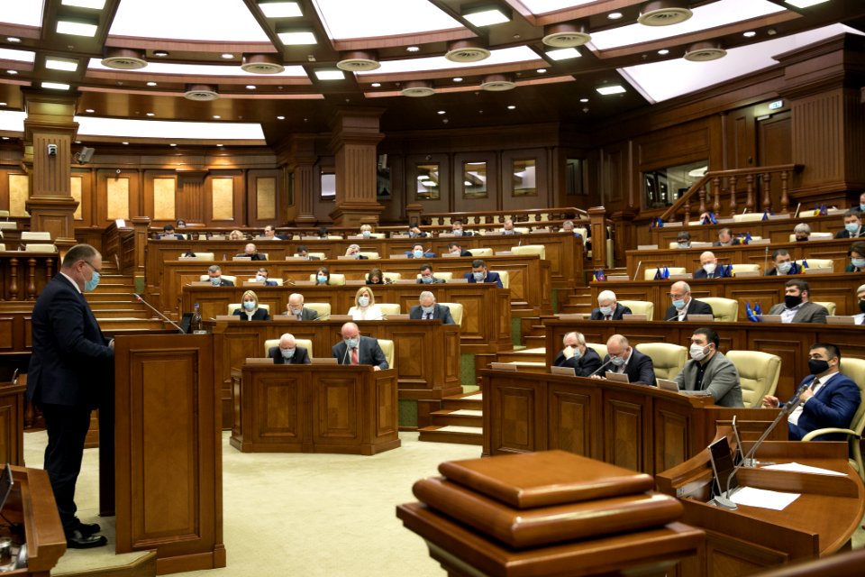 31.03.2021 Ședința plenară (51082379198)