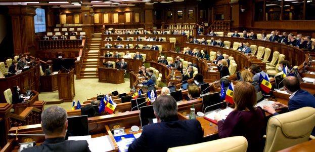 31.03.2021 Ședința plenară (51085834471)
