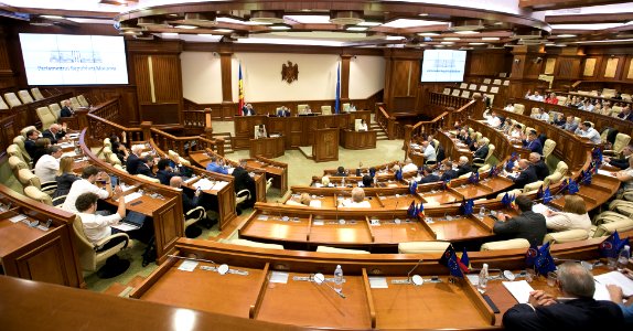 30.07.2019 Ședința plenară (48413011086)