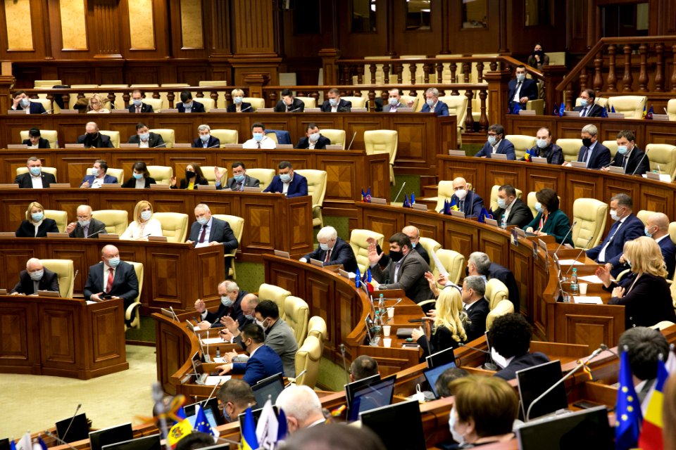 31.03.2021 Ședința plenară (51085926897)