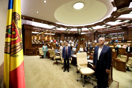30.07.2019 Ședința plenară (48413155367)