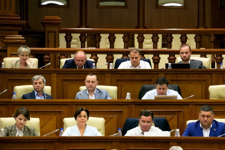 30.07.2019 Ședința plenară (48413158307)