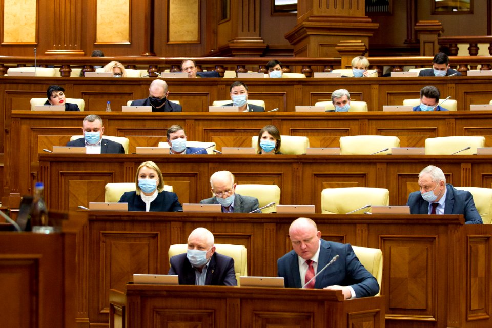 31.03.2021 Ședința plenară (51085990682)
