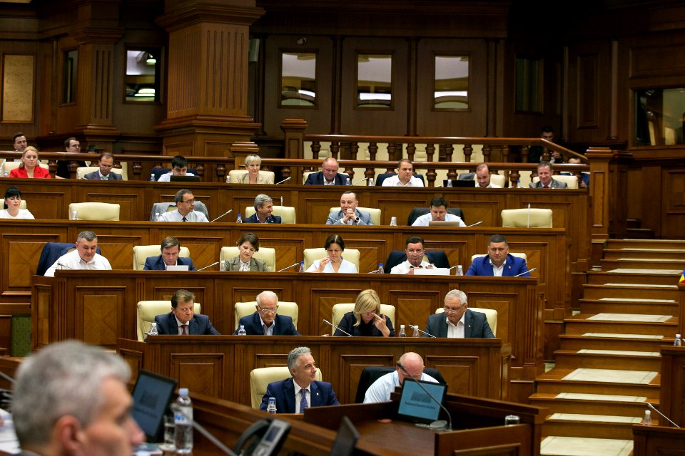 30.07.2019 Ședința plenară (48413157167)