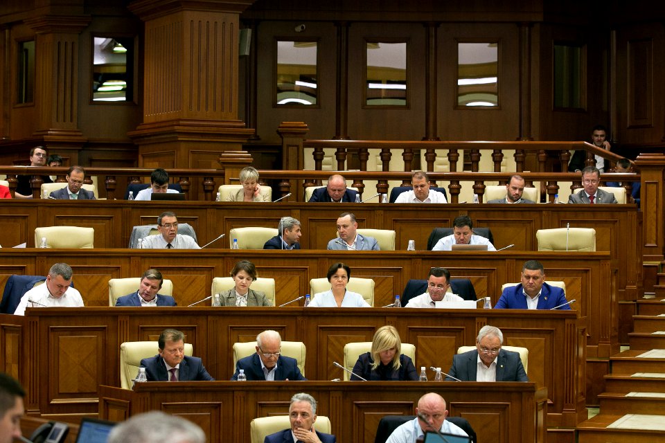 30.07.2019 Ședința plenară (48413158552)