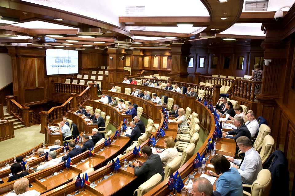 30.07.2019 Ședința plenară (48413159517)
