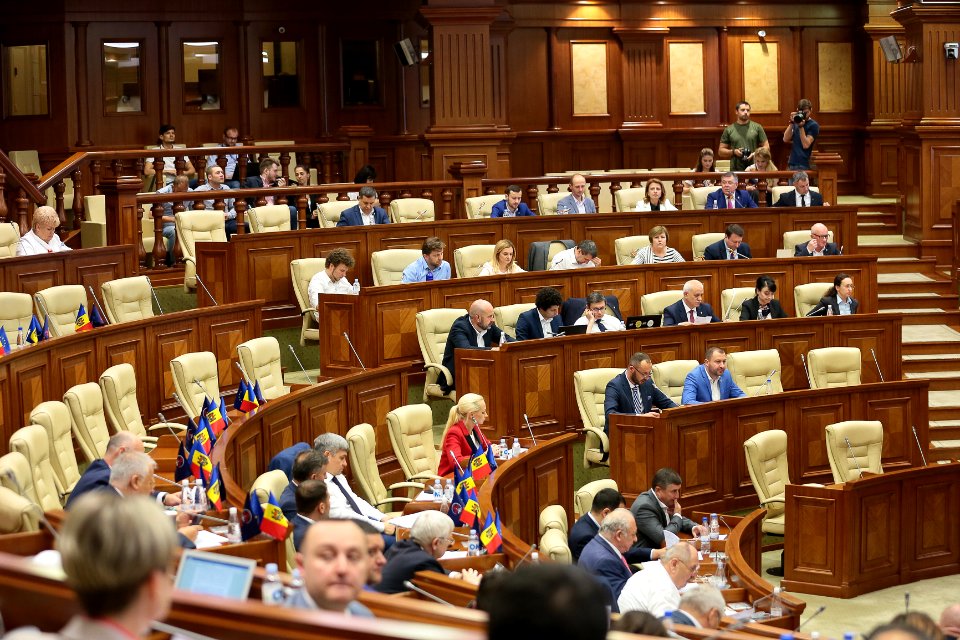 31.07.2019 Ședința plenară (48421467327)