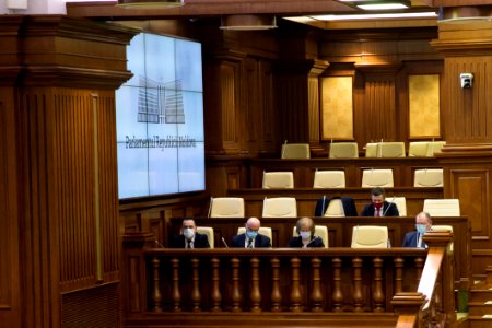 31.03.2021 Ședința plenară (51000909349)