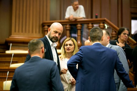 31.07.2019 Ședința plenară (48421470132)