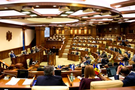 31.03.2021 Ședința plenară (51016650780)