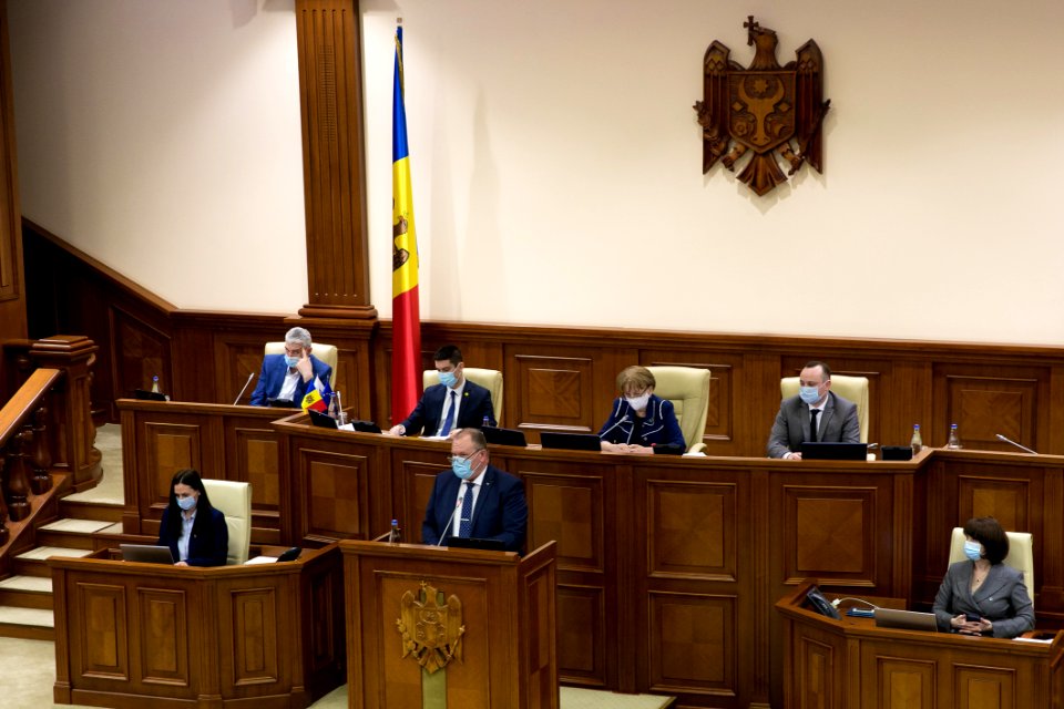 31.03.2021 Ședința plenară (51082379318)