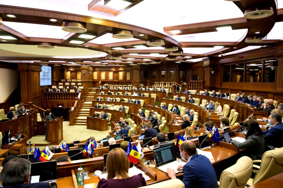 31.03.2021 Ședința plenară (51085834681)