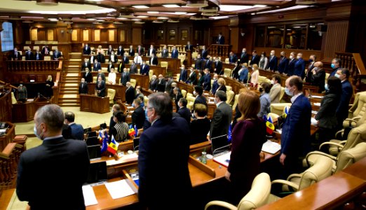 31.03.2021 Ședința plenară (51082379508)