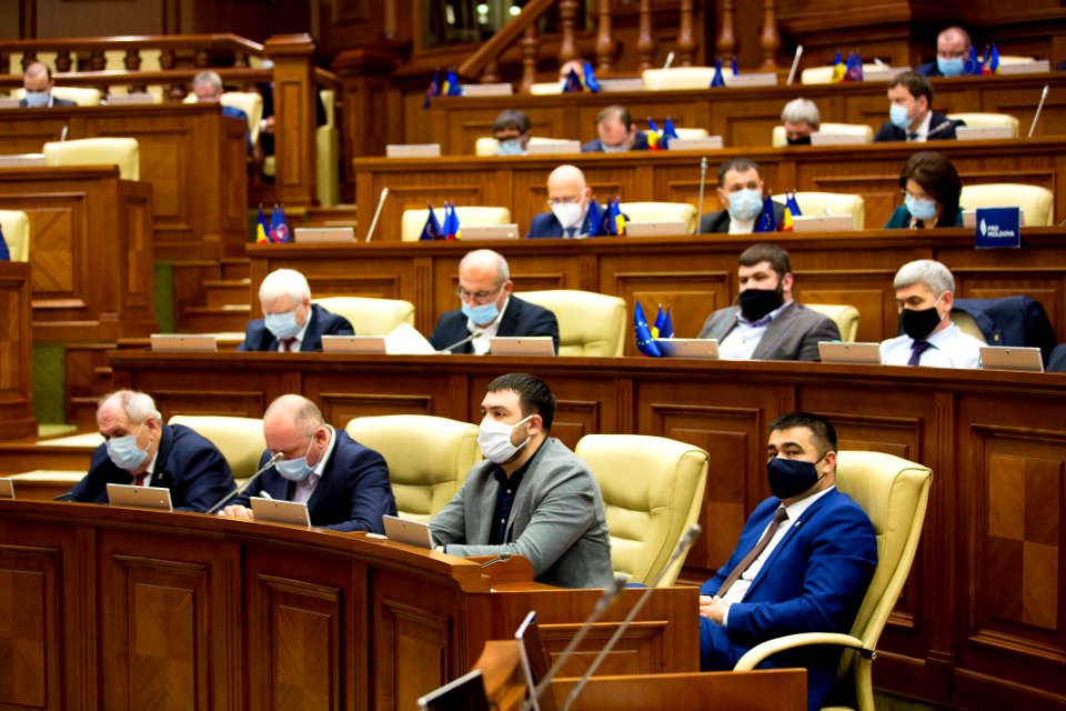 31.03.2021 Ședința plenară (51085926182)