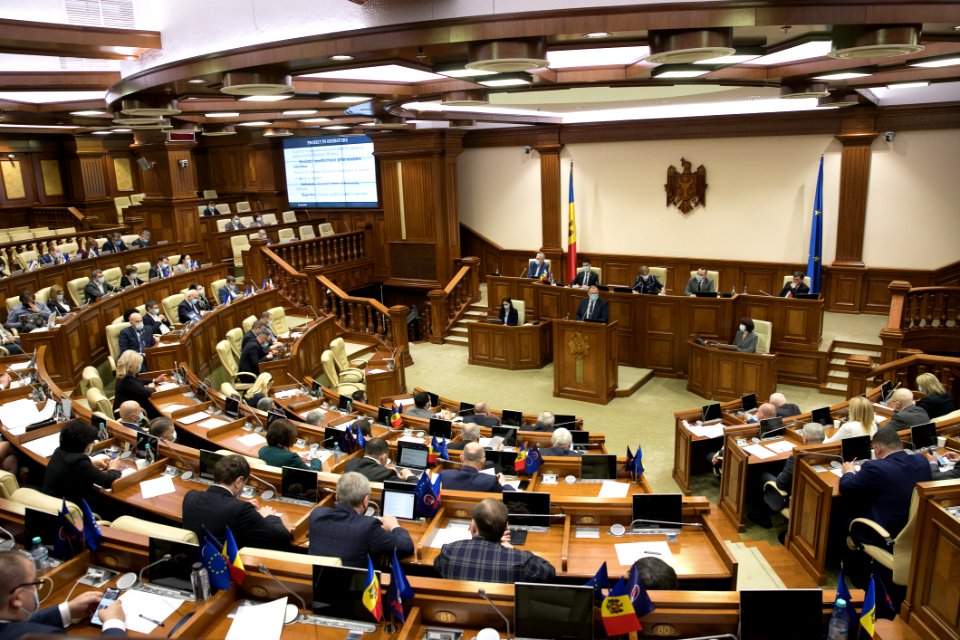 31.03.2021 Ședința plenară (51085926697)