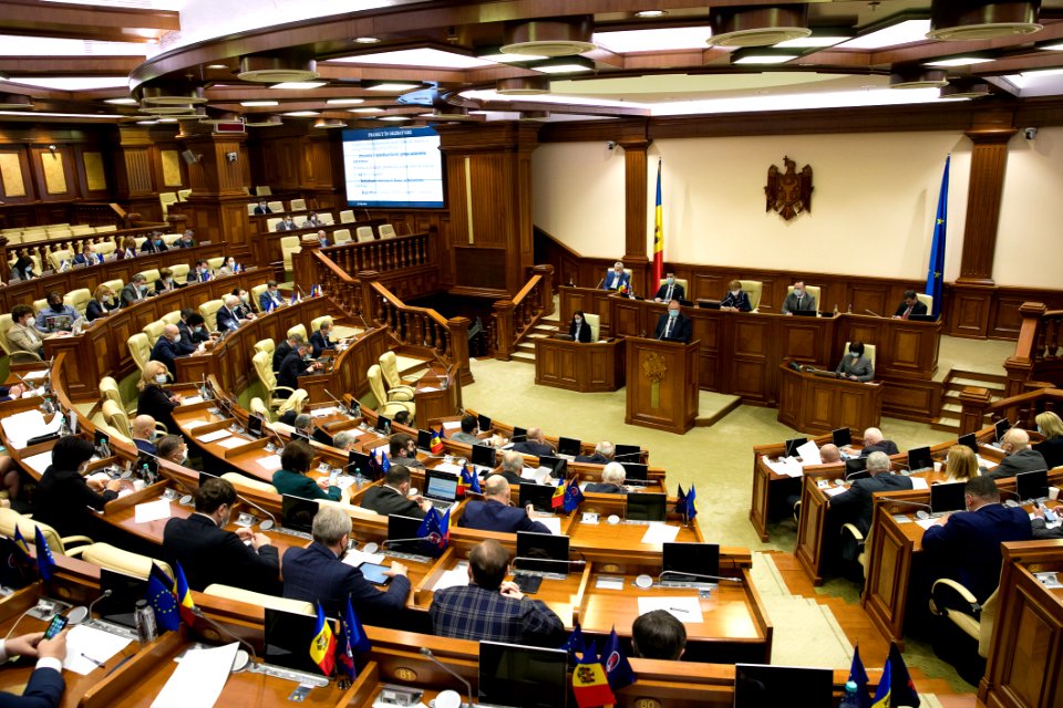 31.03.2021 Ședința plenară (51085834216)