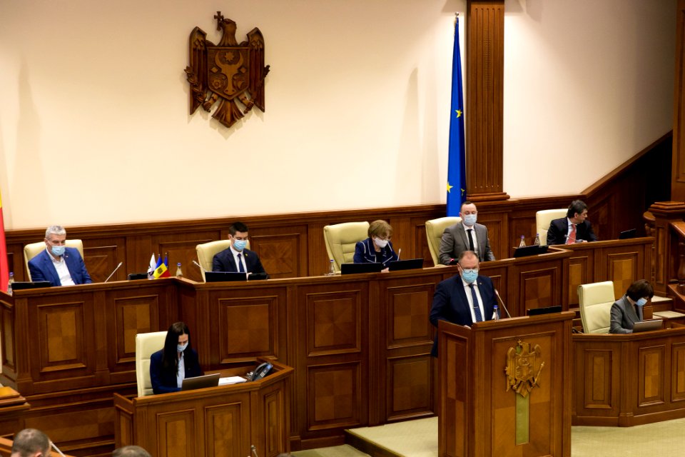 31.03.2021 Ședința plenară (51085834421)