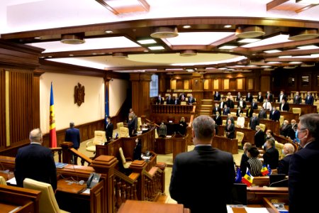 31.03.2021 Ședința plenară (51085834616)