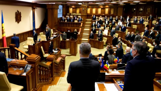 31.03.2021 Ședința plenară (51085927017)