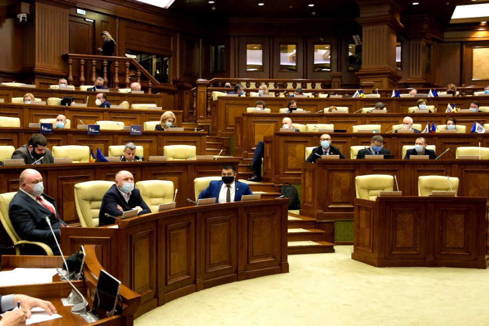 31.03.2021 Ședința plenară (51085990832)