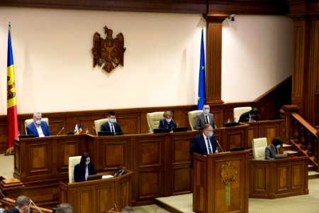 31.03.2021 Ședința plenară (51085926797)