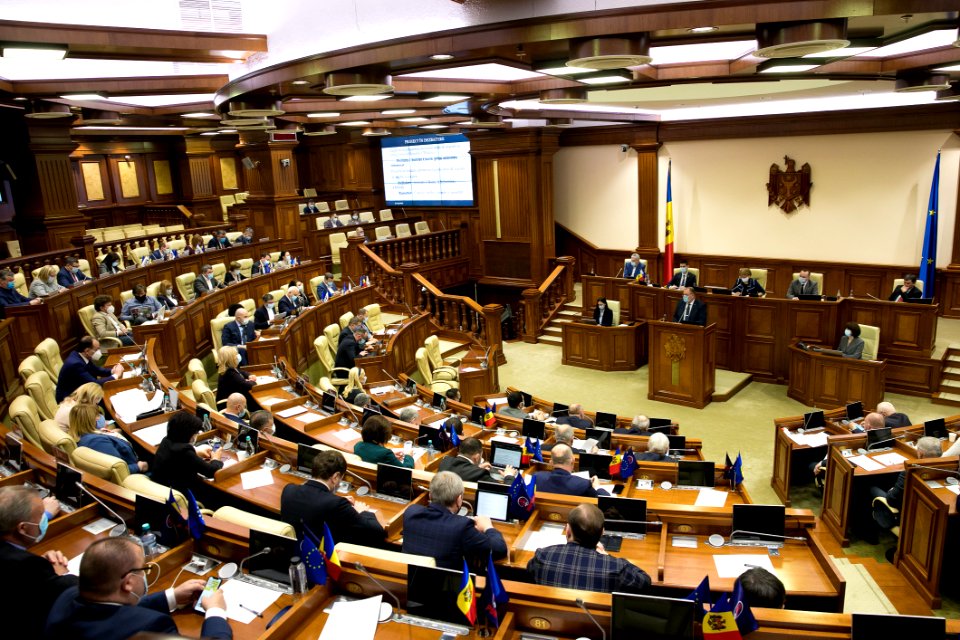 31.03.2021 Ședința plenară (51085926682)