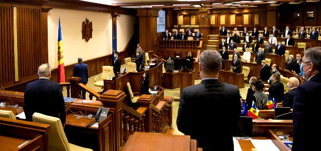 31.03.2021 Ședința plenară (51085927072)