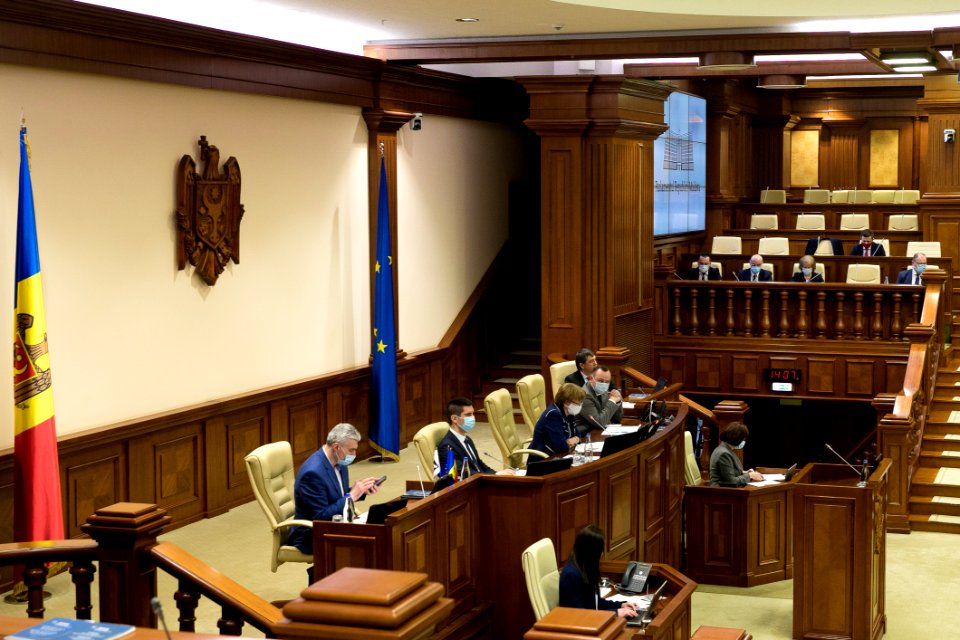 31.03.2021 Ședința plenară (51085926952)