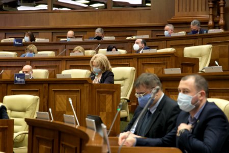 31.03.2021 Ședința plenară (51085990947)