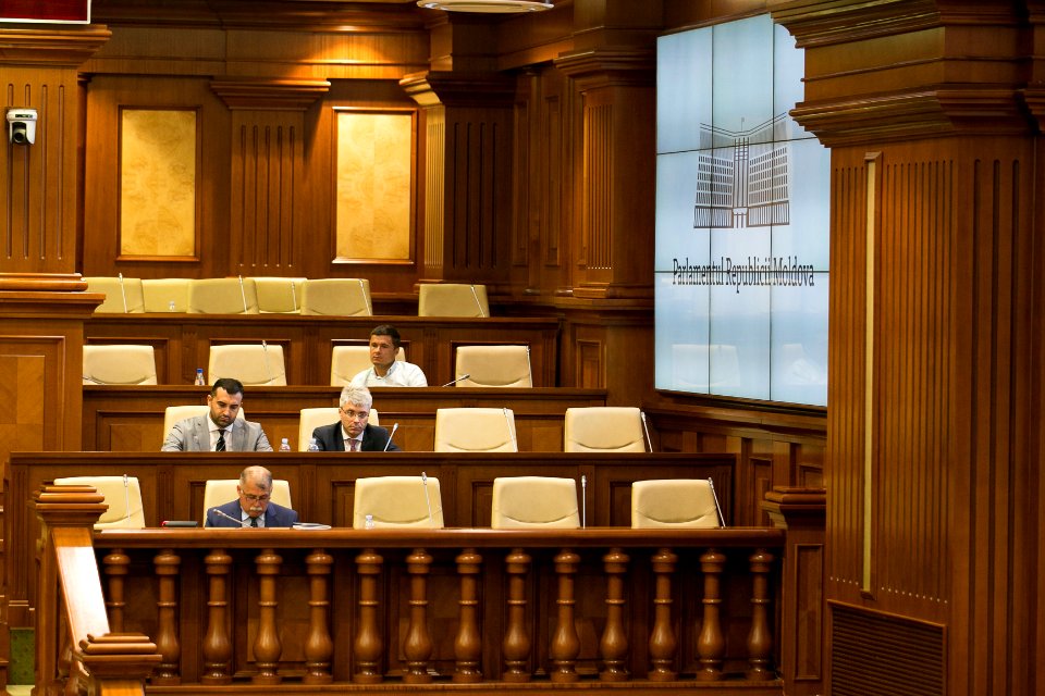 31.07.2019 Ședința plenară (48421318171)