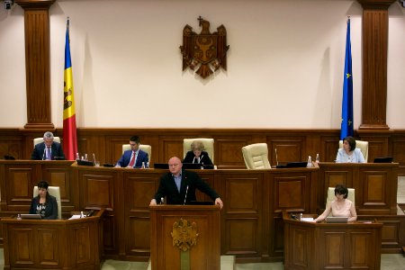 31.07.2019 Ședința plenară (48421317731)
