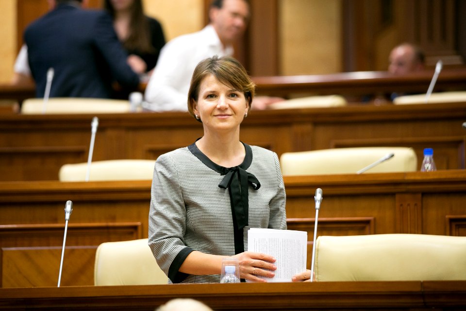 31.07.2019 Ședința plenară (48421321786)