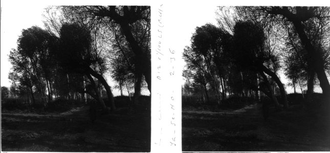 A un camí