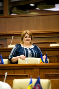 31.07.2019 Ședința plenară (48421320656)