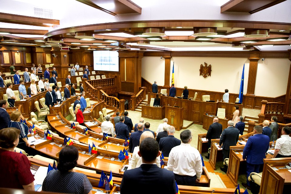 31.07.2019 Ședința plenară (48421468342)