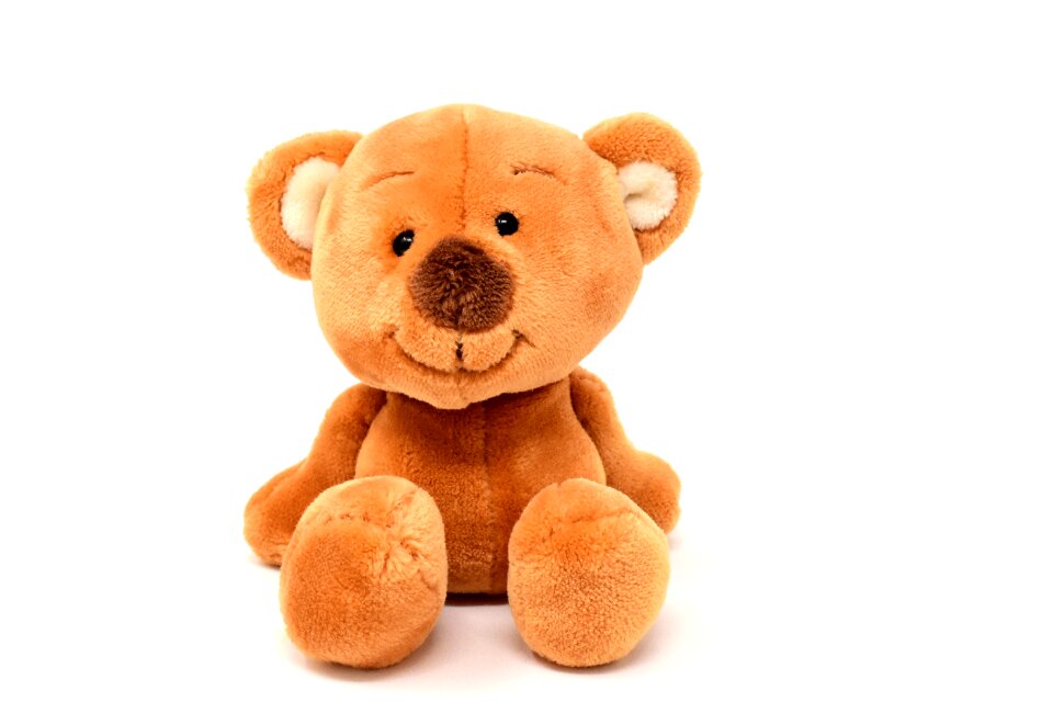 Animal teddy bear plush photo