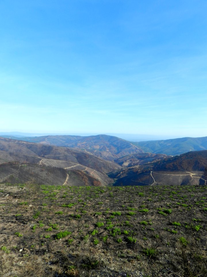 After the summer fires of 2017. . Serra da Lousã, Portugal. (32022334738)