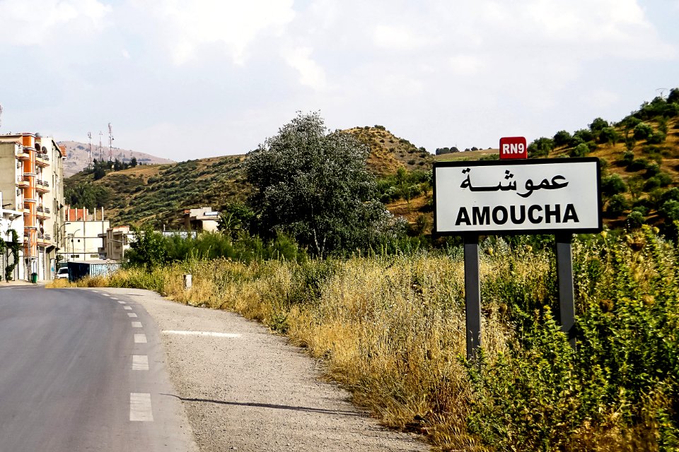 Amoucha عموشة (48358412951)