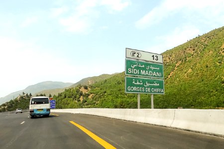 Autoroute Chiffa Berrouaghia الطريق السريع شفة البرواقية (48216299187)