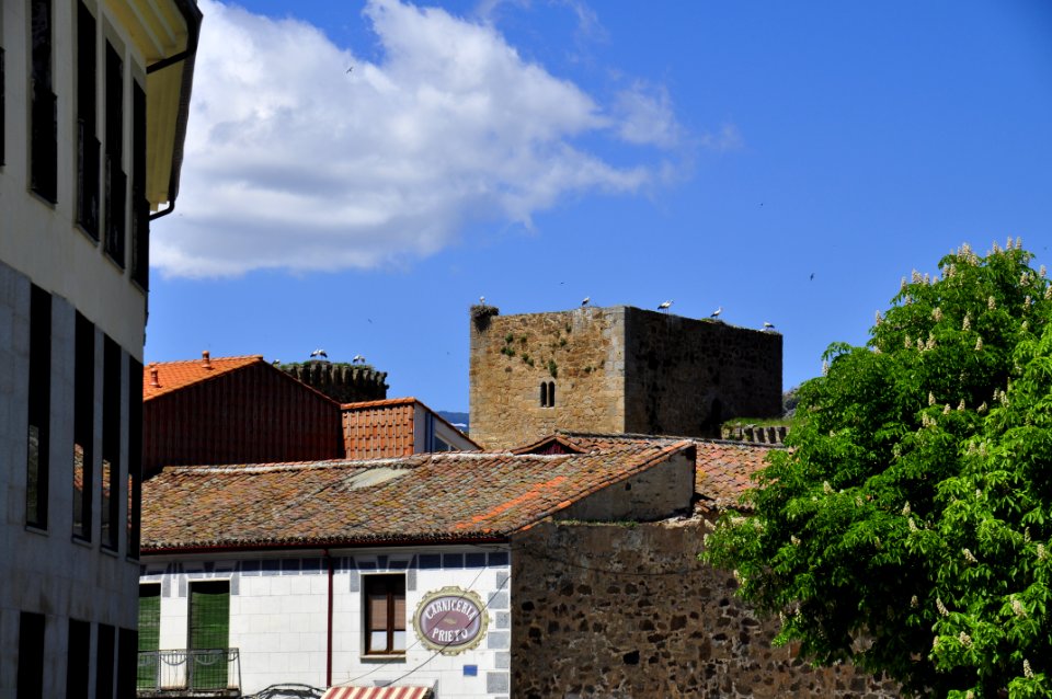 Barco de Ávila (15534659040)