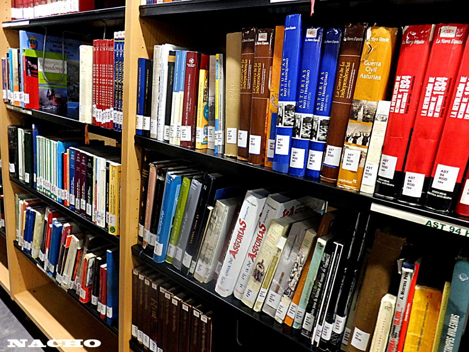 Biblioteca Pérez de Ayala (12874684024)